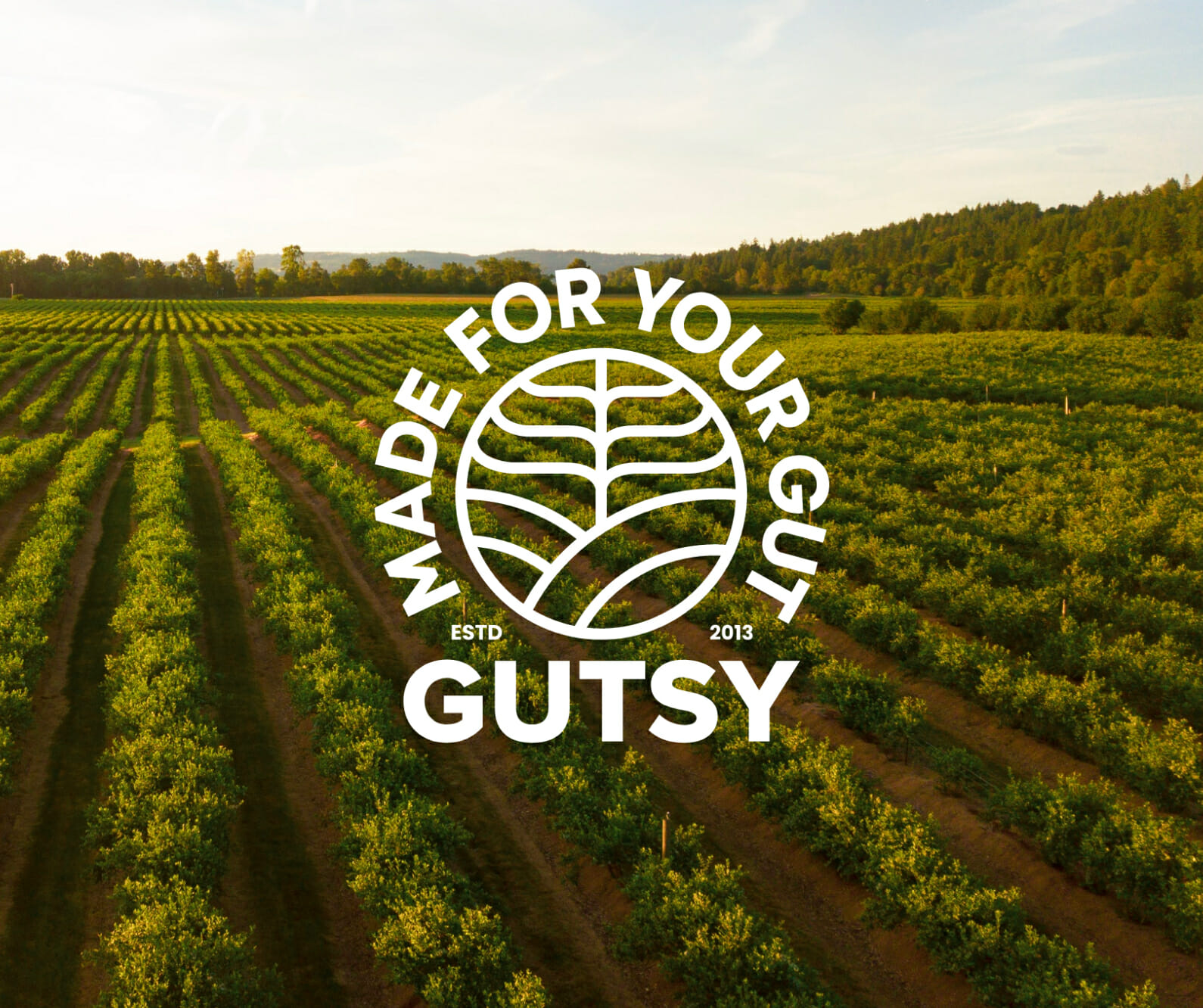 A tasty brand remake for Gutsy